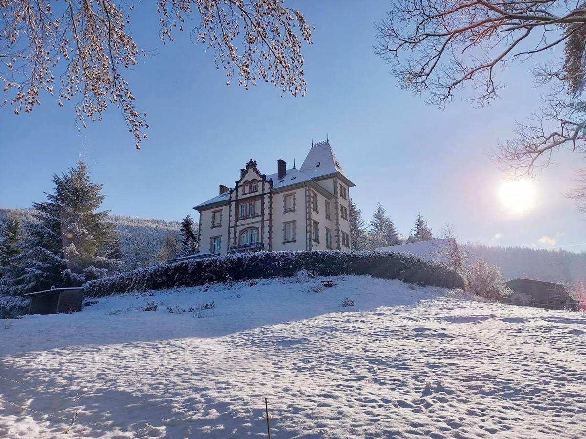 Chateau Robert Raon-lʼÉtape Eksteriør billede
