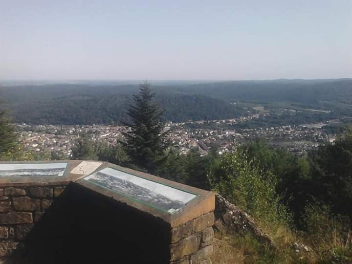 Chateau Robert Raon-lʼÉtape Eksteriør billede