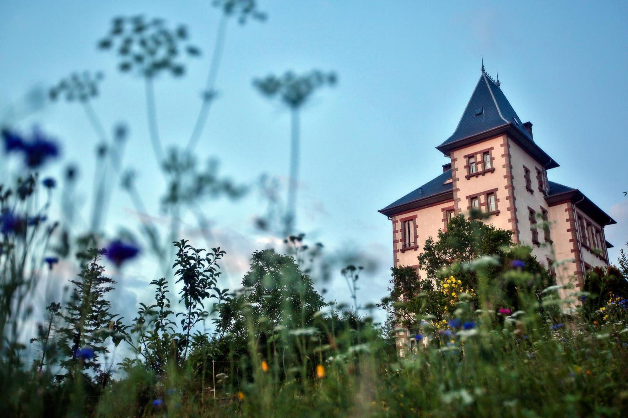 Chateau Robert Raon-lʼÉtape Eksteriør billede