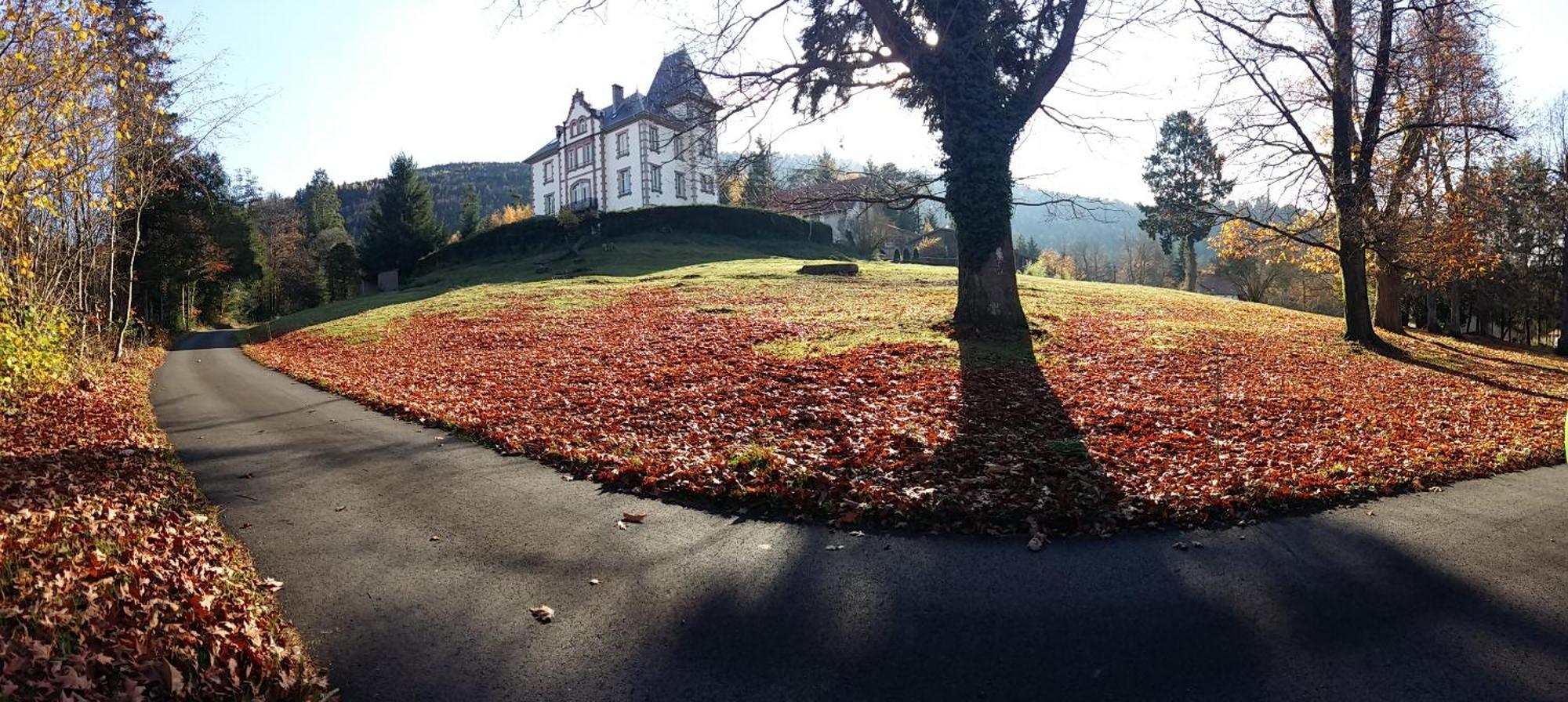 Chateau Robert Raon-lʼÉtape Eksteriør billede