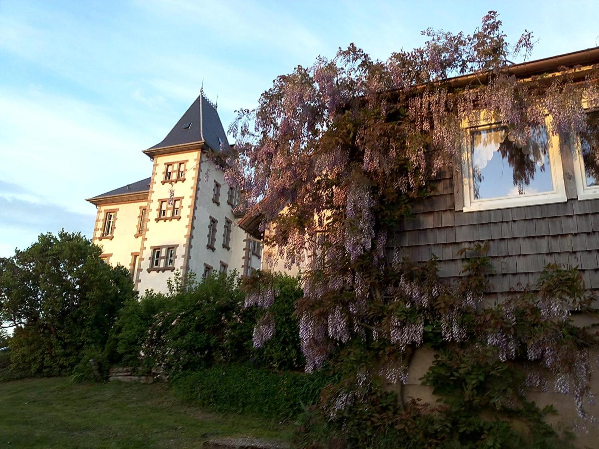 Chateau Robert Raon-lʼÉtape Eksteriør billede