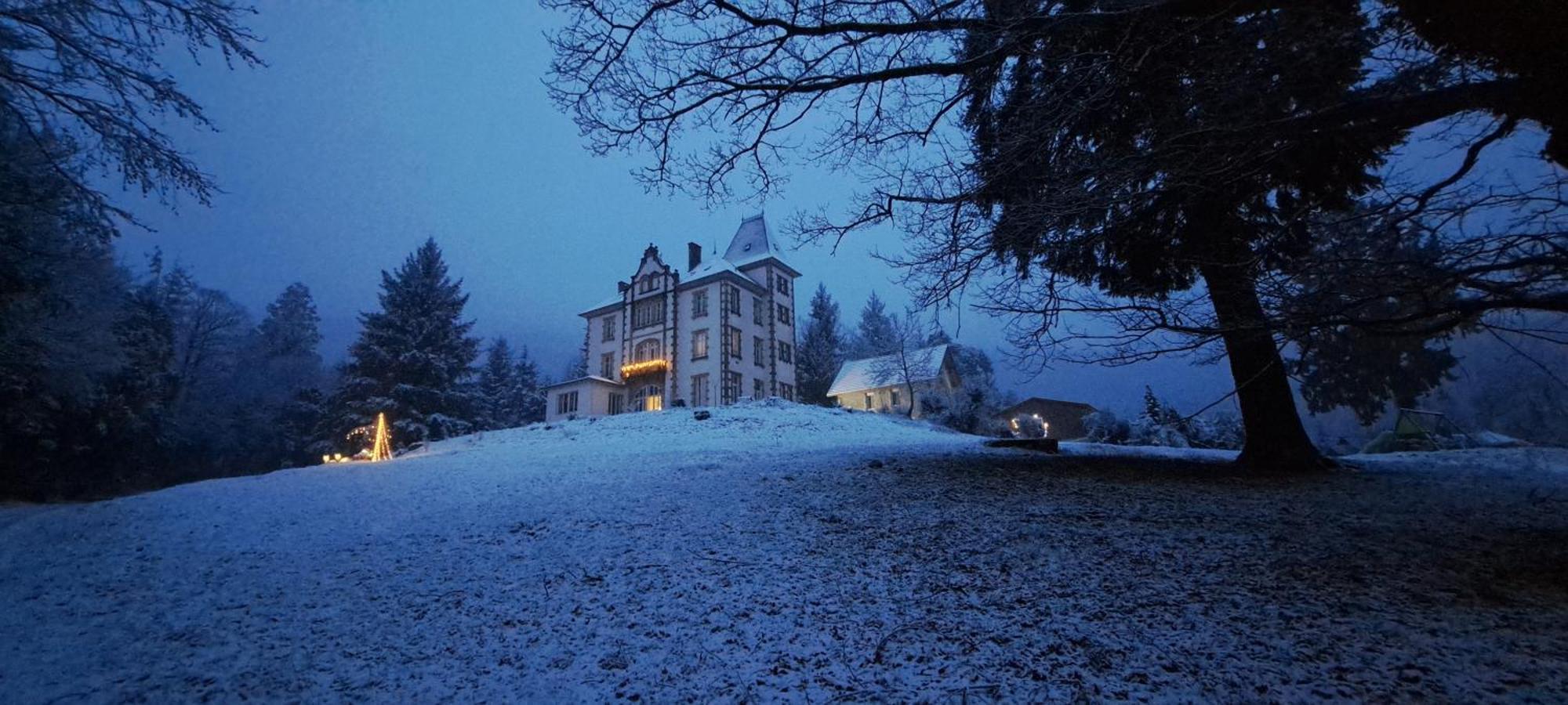 Chateau Robert Raon-lʼÉtape Eksteriør billede